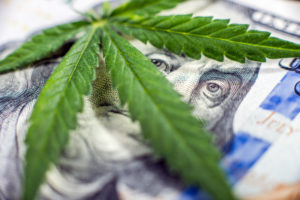 Marijuana Business Financing