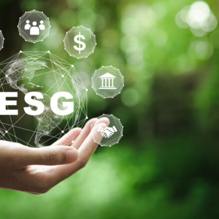 Is ESG Good for Your Business?