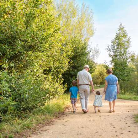 When Grandparents Step In: Legal Options for Visitation and/or Custody in Ohio – Part 1