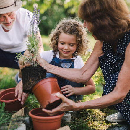 When Grandparents Step In: Legal Options for Visitation and/or Custody in Ohio – Part 3
